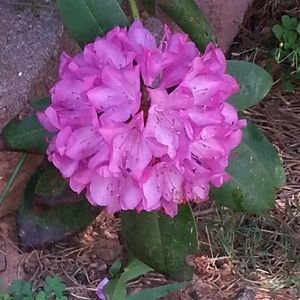 Meet your Posher, Silvia